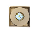 Fiber Drop Cable Singlemode LC/APC, Simplex, LSZH, with Termination Box, 20m