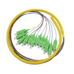 Multicore Pigtail 12 cores SC/APC G.657.A2 Singlemode LSZH, 2m