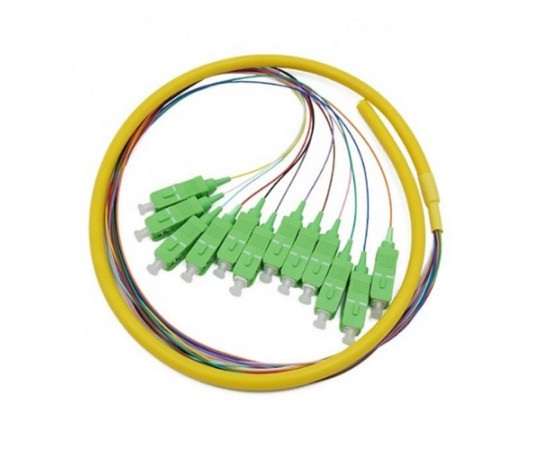 Multicore Pigtail 12 cores SC/APC G.657.A2 Singlemode LSZH, 2m