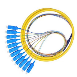 Multicore Pigtail 12 cores SC/UPC G.657.A2 Singlemode LSZH, 2m