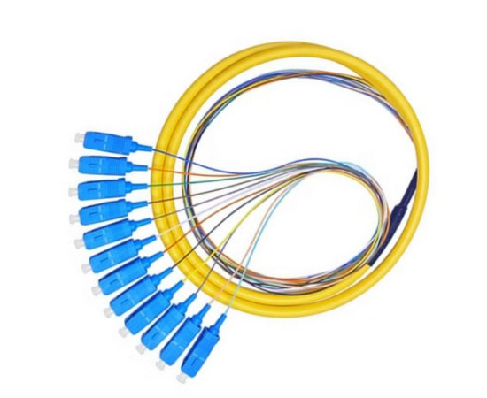 Multicore Pigtail 12 cores SC/UPC G.657.A2 Singlemode LSZH, 2m